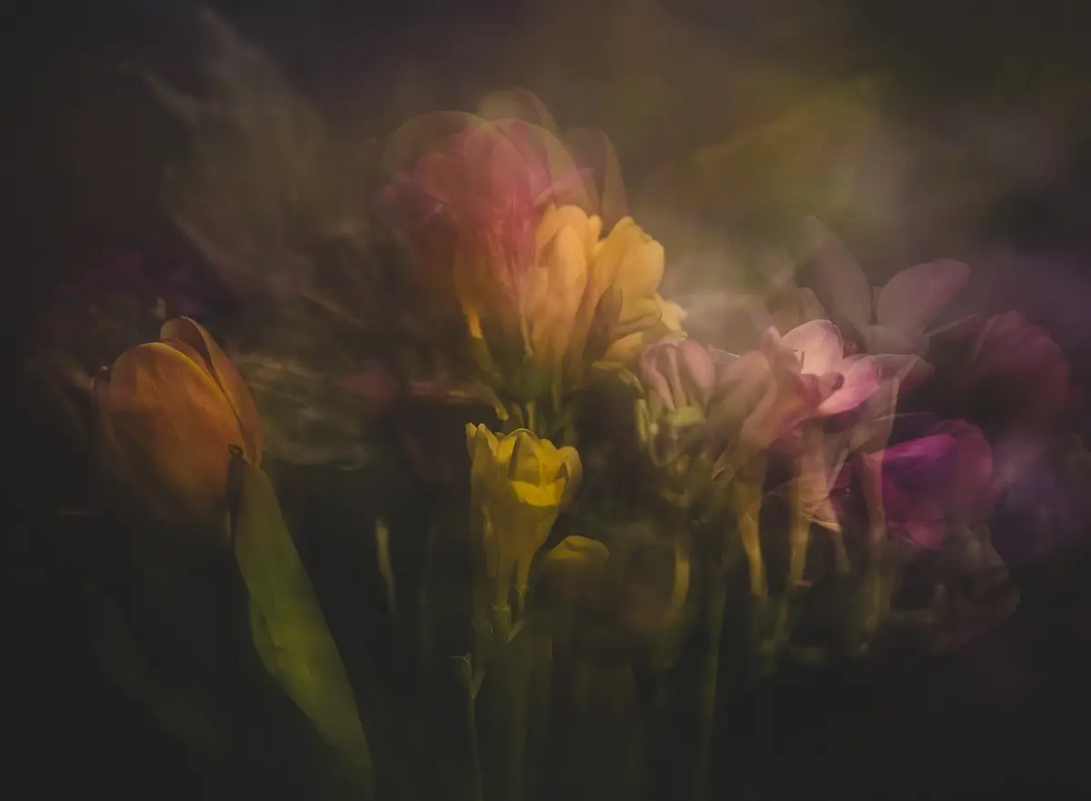 <p>© Oana Daian</p>