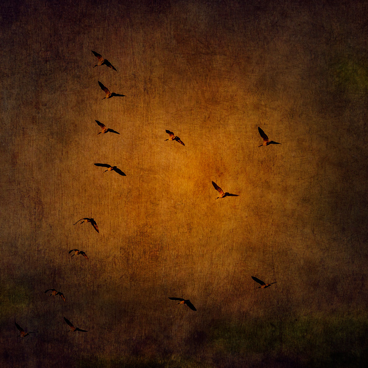 To Have Wings<p>© Rajan Dosaj</p>