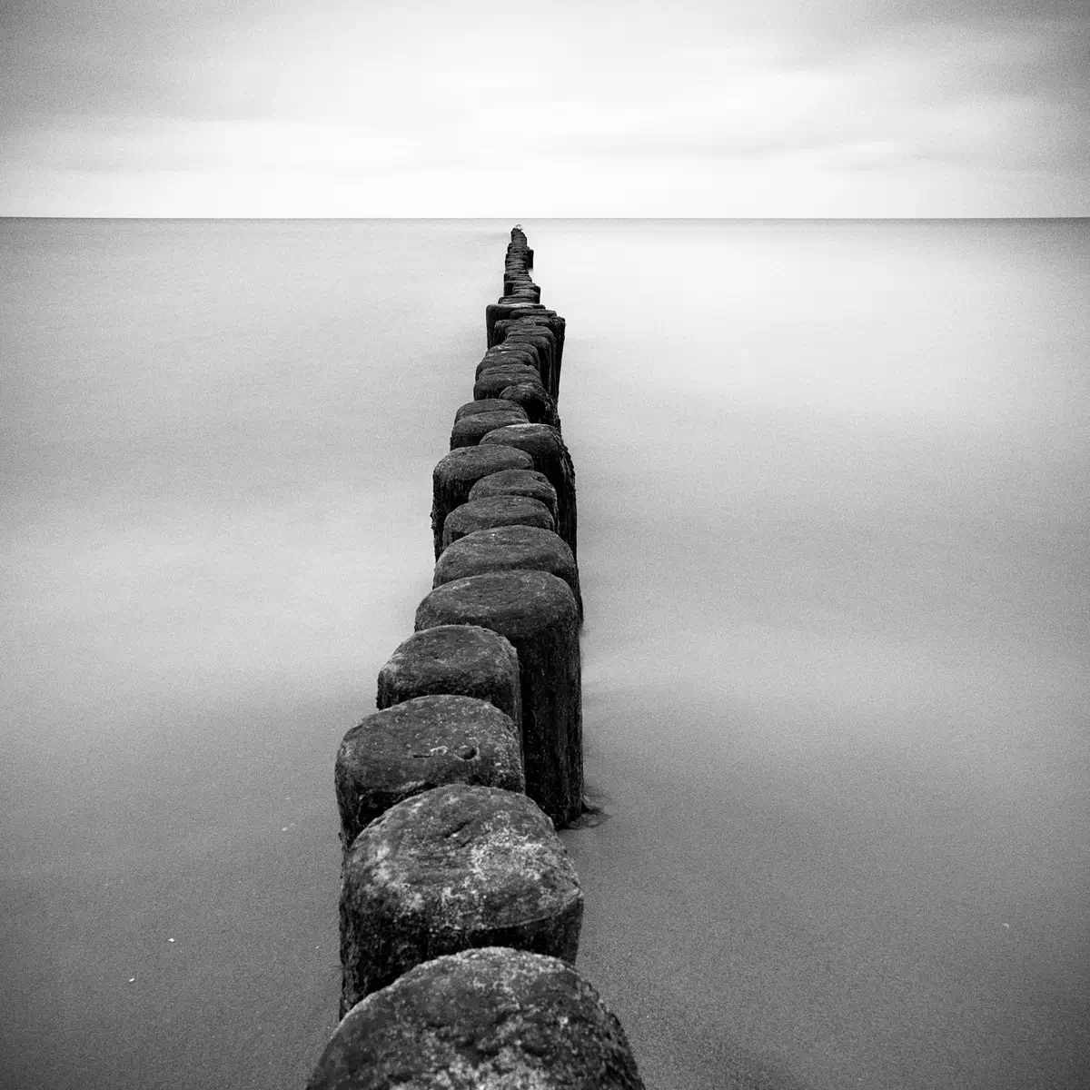 <p>© Ralf Dreier</p>