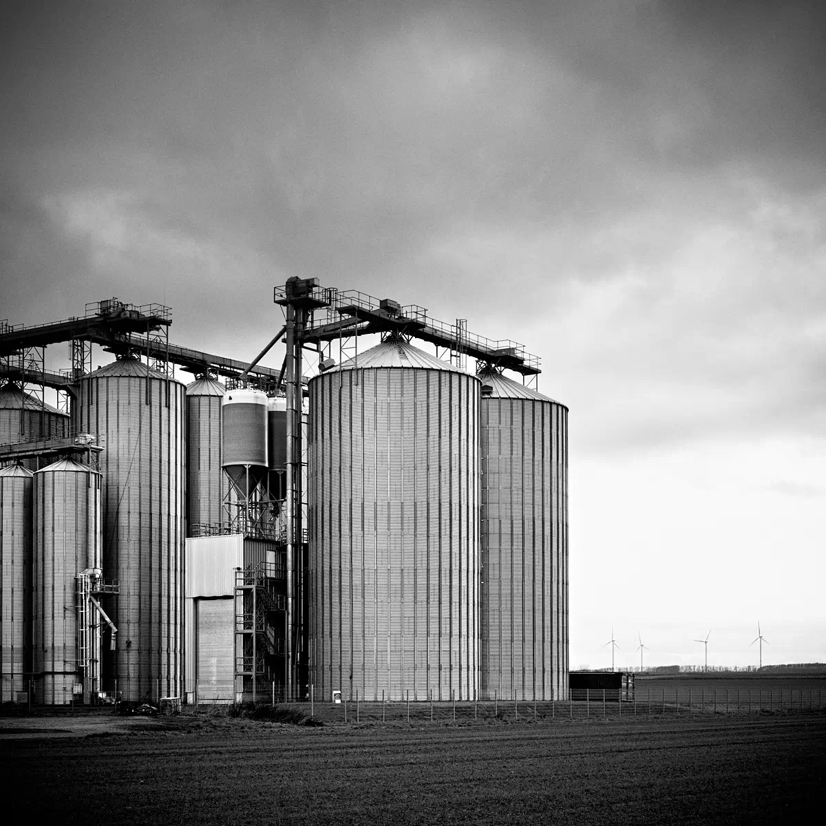 <p>© Ralf Dreier</p>