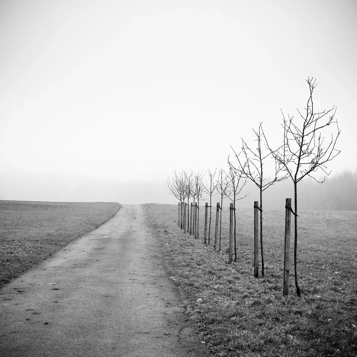 <p>© Ralf Dreier</p>