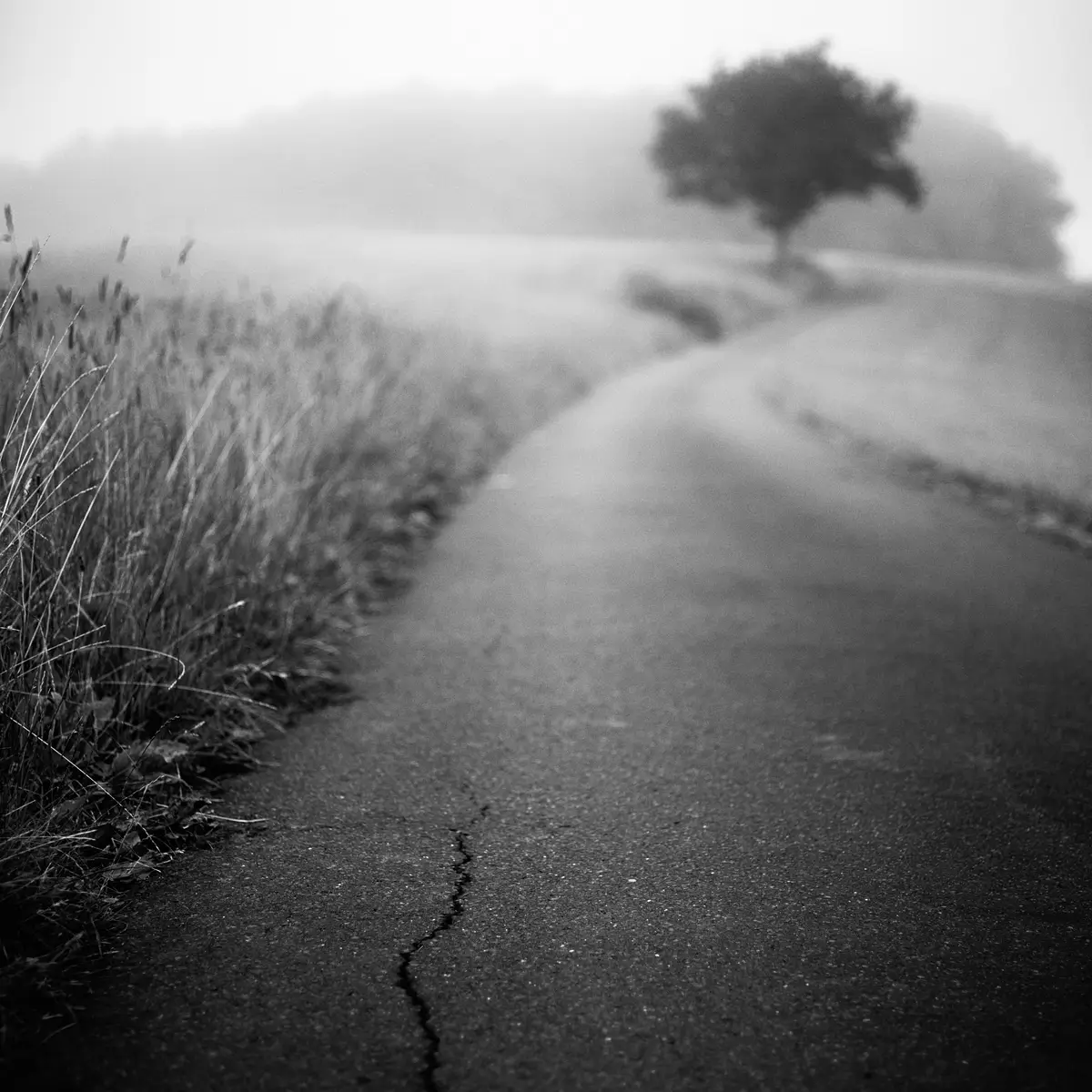<p>© Ralf Dreier</p>