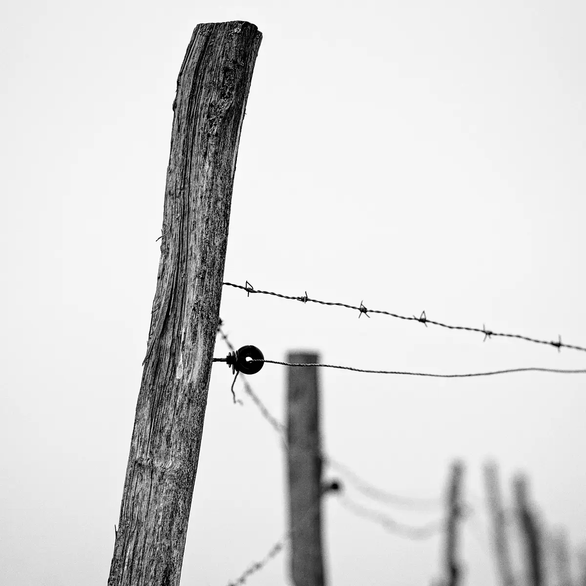 <p>© Ralf Dreier</p>