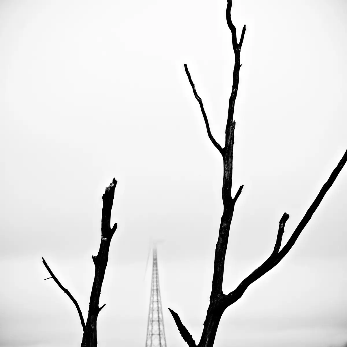 <p>© Ralf Dreier</p>