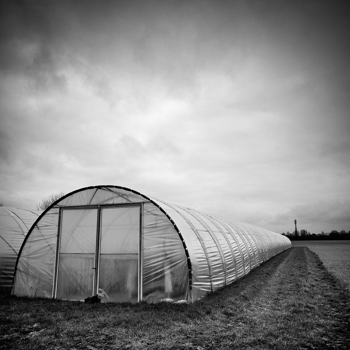 <p>© Ralf Dreier</p>