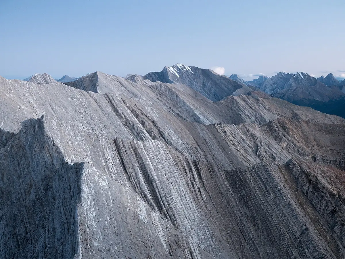 <p>&copy; Sean Du</p>