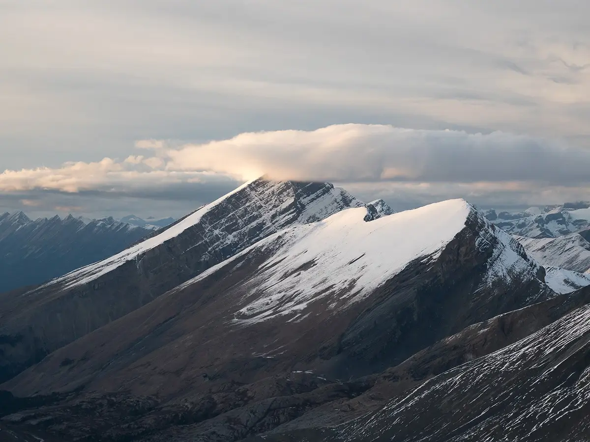 <p>&copy; Sean Du</p>