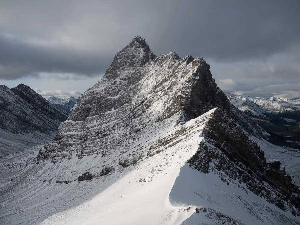 <p>&copy; Sean Du</p>