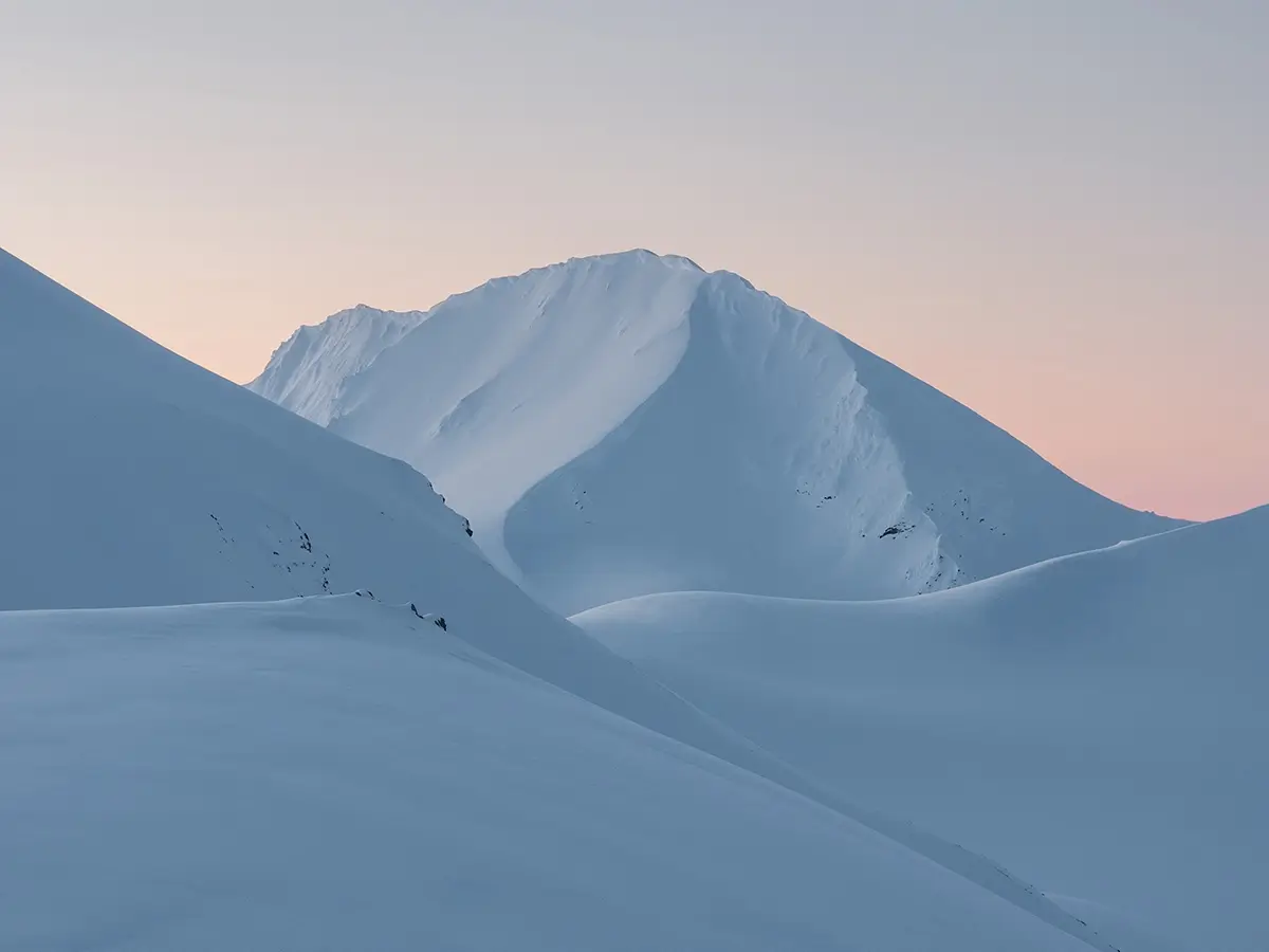 <p>&copy; Sean Du</p>