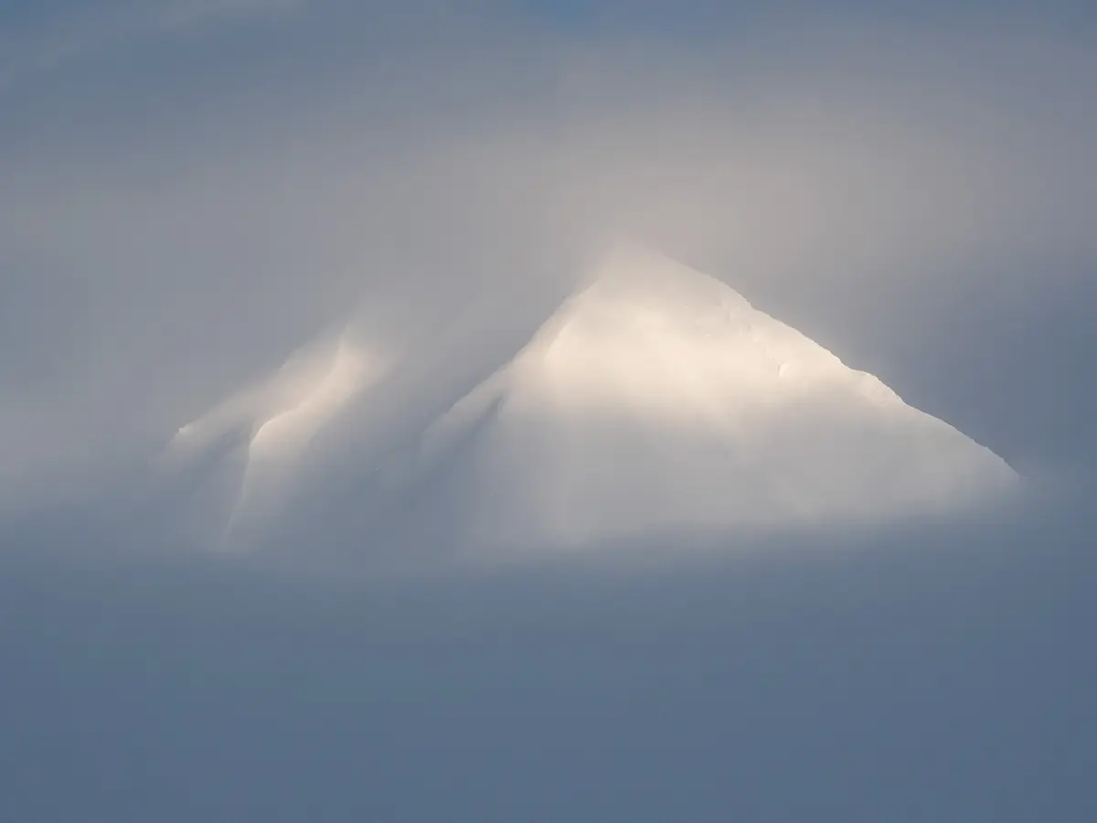 <p>&copy; Sean Du</p>