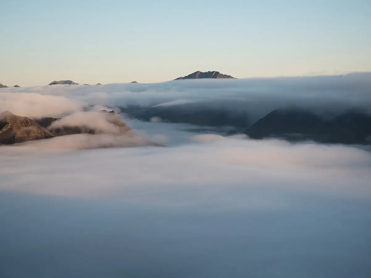 <p>&copy; Sean Du</p>