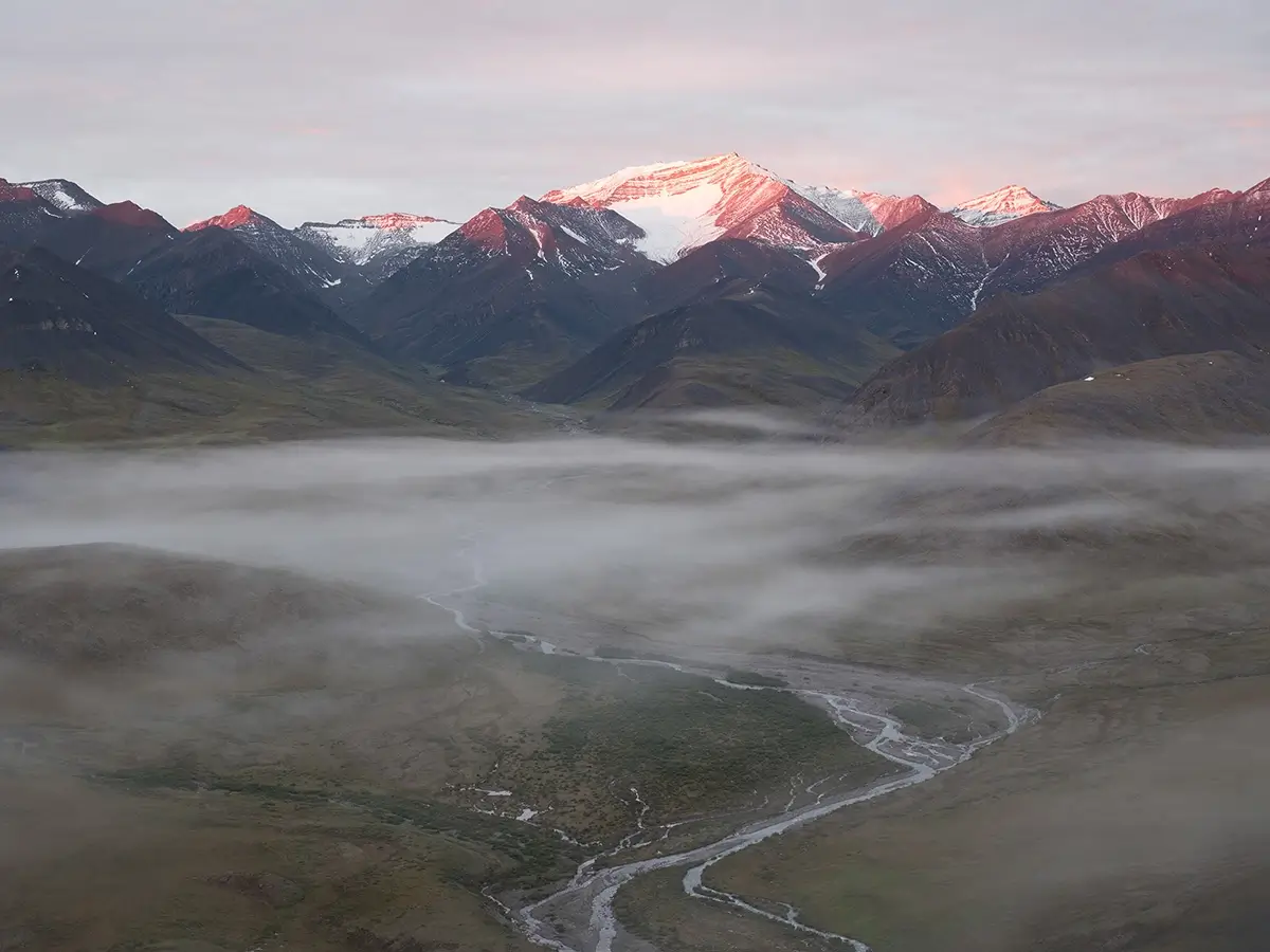 <p>&copy; Sean Du</p>