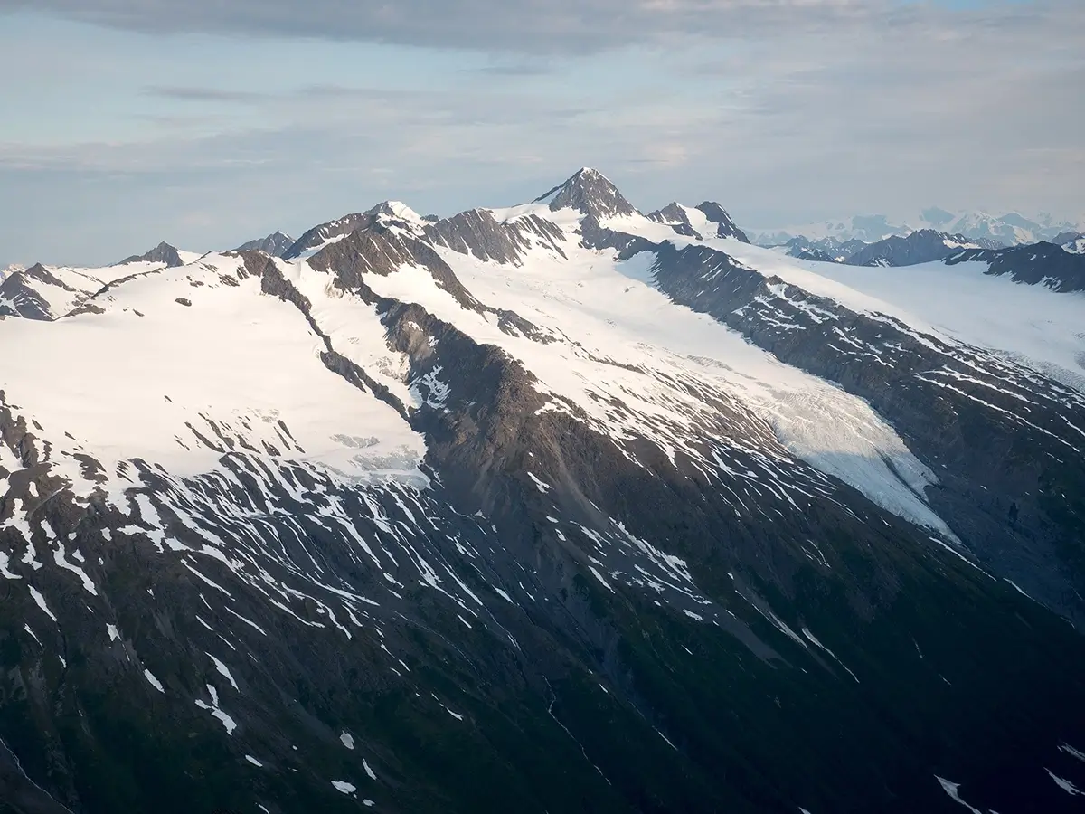 <p>&copy; Sean Du</p>