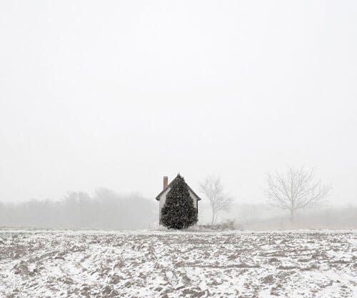 <p>© Tamas Dezso</p>