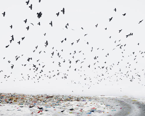 <p>© Tamas Dezso</p>