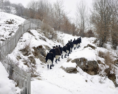 <p>© Tamas Dezso</p>