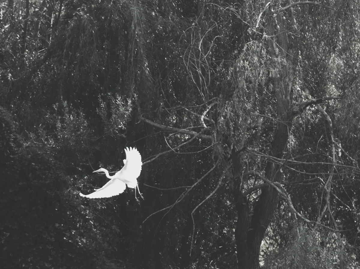 <p>© Tanja Duraković</p>