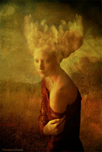 <p>© Thomas Dodd</p>