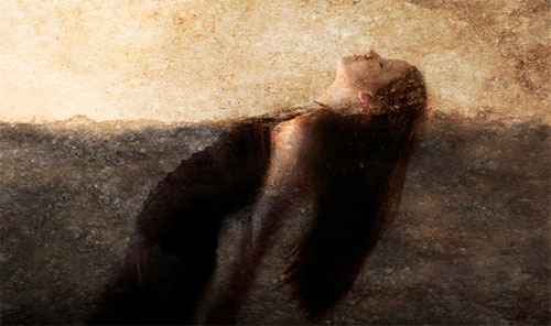 <p>© Thomas Dodd</p>