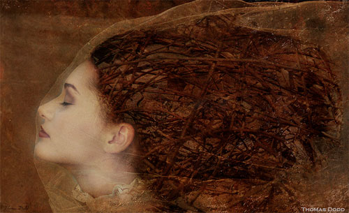 <p>© Thomas Dodd</p>