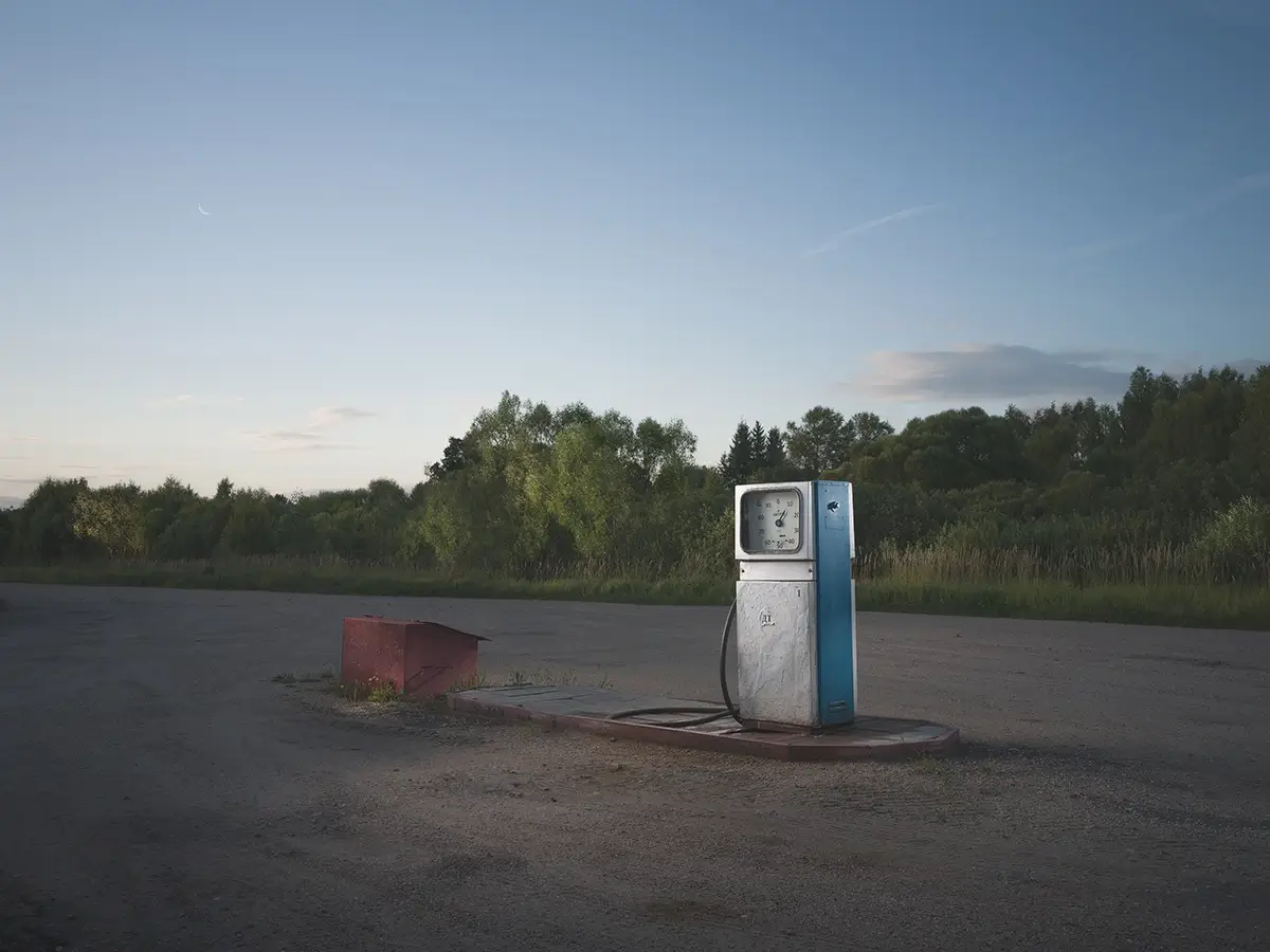 <p>© Dmitry Ersler</p>