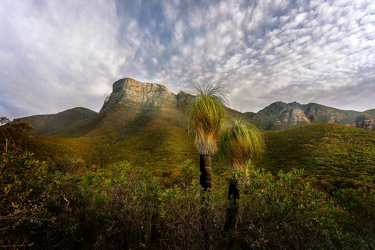 Looking for Dinosaurs<p>© Graham Earnshaw</p>