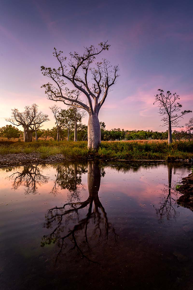 Morning Magic<p>© Graham Earnshaw</p>