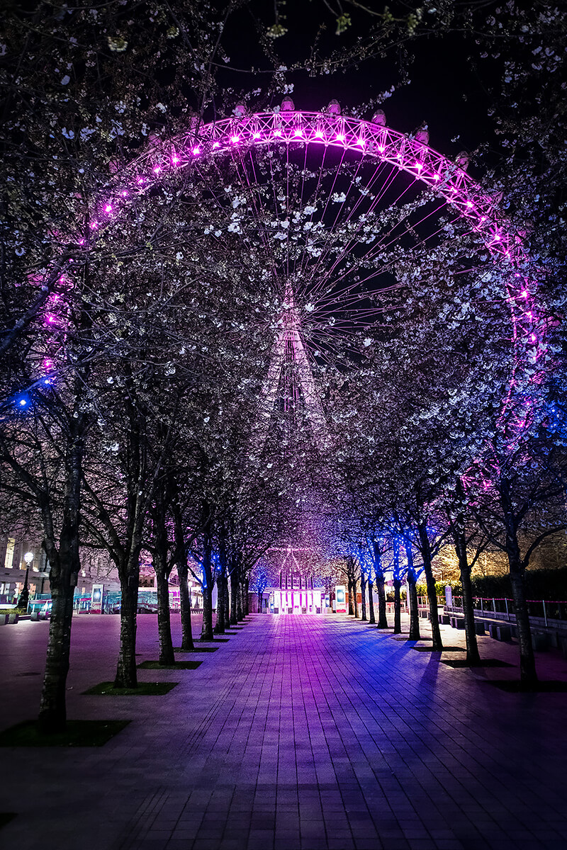 London Eye<p>© Jan Enkelmann</p>