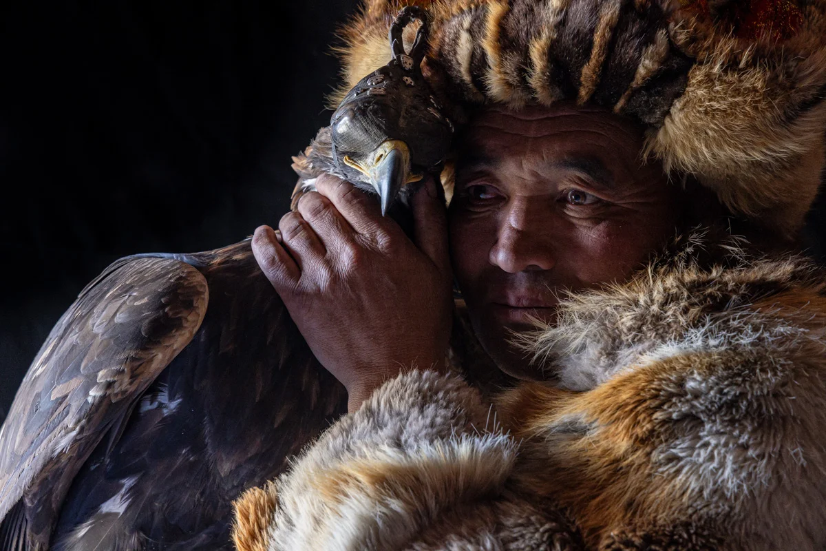 <p>&copy; Julian Elliott</p>