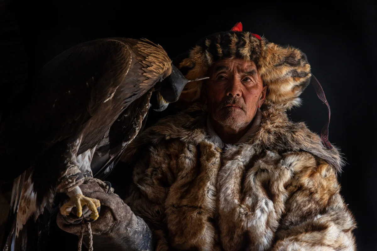 <p>&copy; Julian Elliott</p>