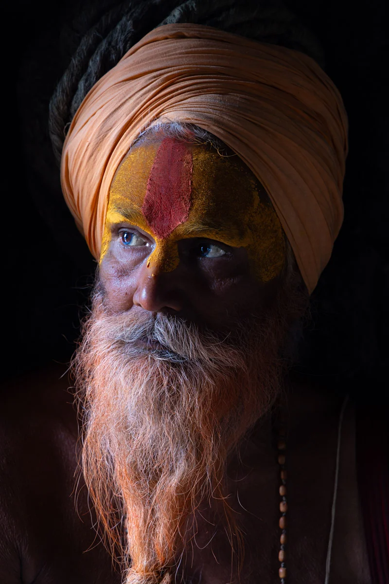 <p>&copy; Julian Elliott</p>