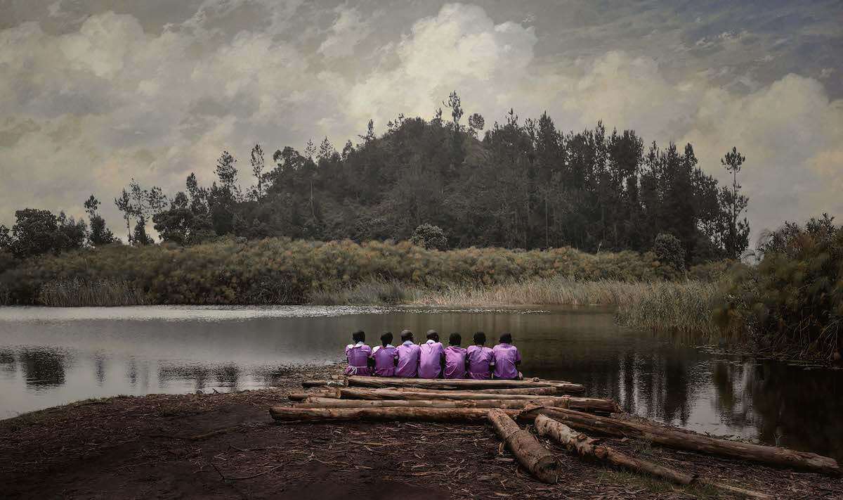 Purple<p>© Osama Elolemy</p>