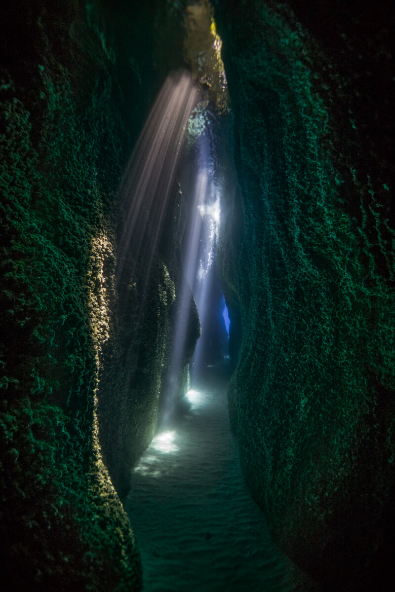 Underwater Cathedral<p>© Pavlos Evangelidis</p>
