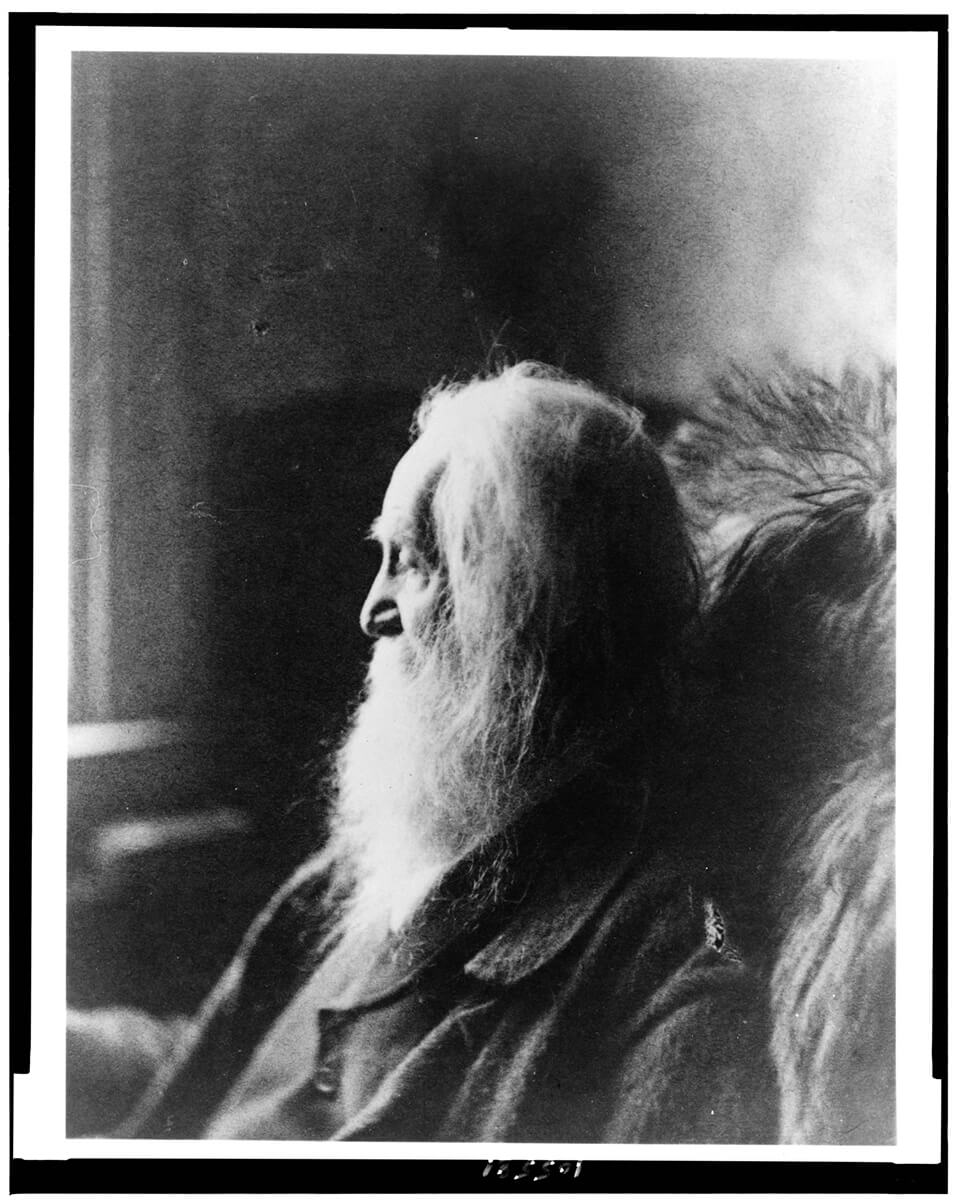 Walt Whitman, head-and-shoulders portrait, facing left, 1891<p>© Thomas Eakins</p>