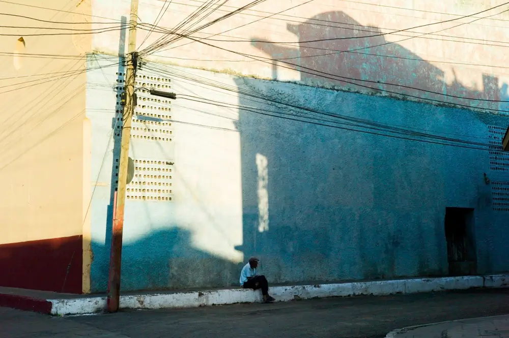 Cuban Variant<p>© Adriana Ferrarese</p>