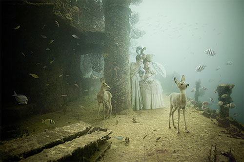 <p>© Andreas Franke</p>