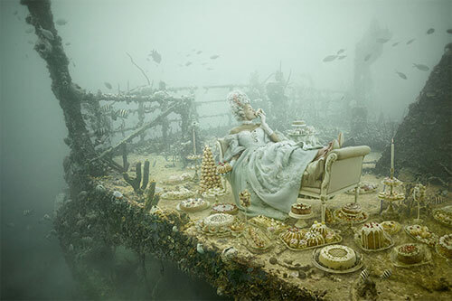 <p>© Andreas Franke</p>