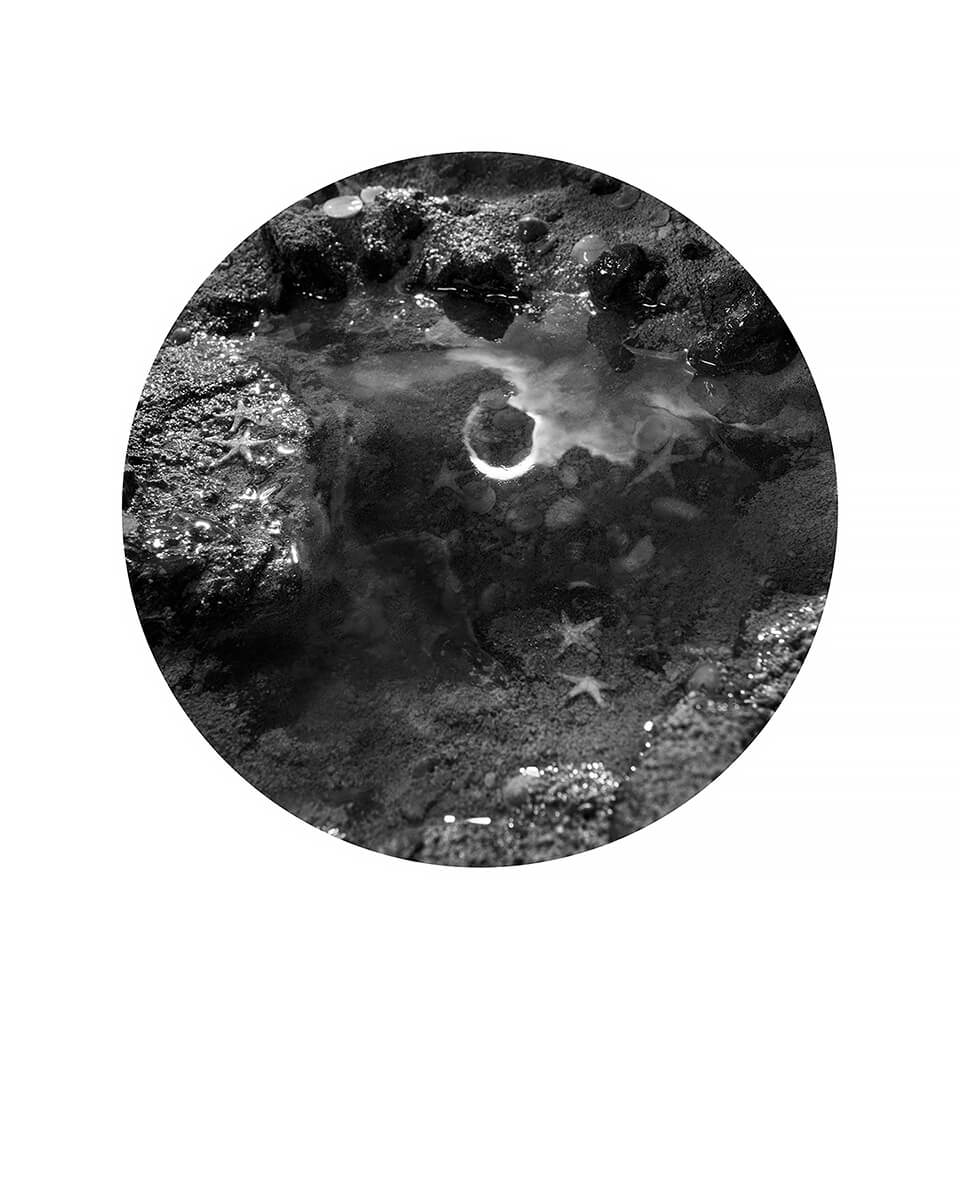 Transit of Venus<p>© Bill Finger</p>