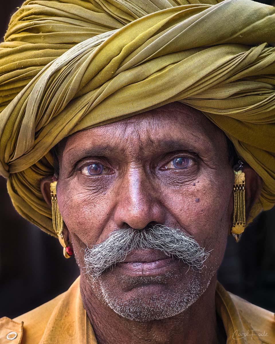 Rajasthani Gold<p>© Carol Foote</p>