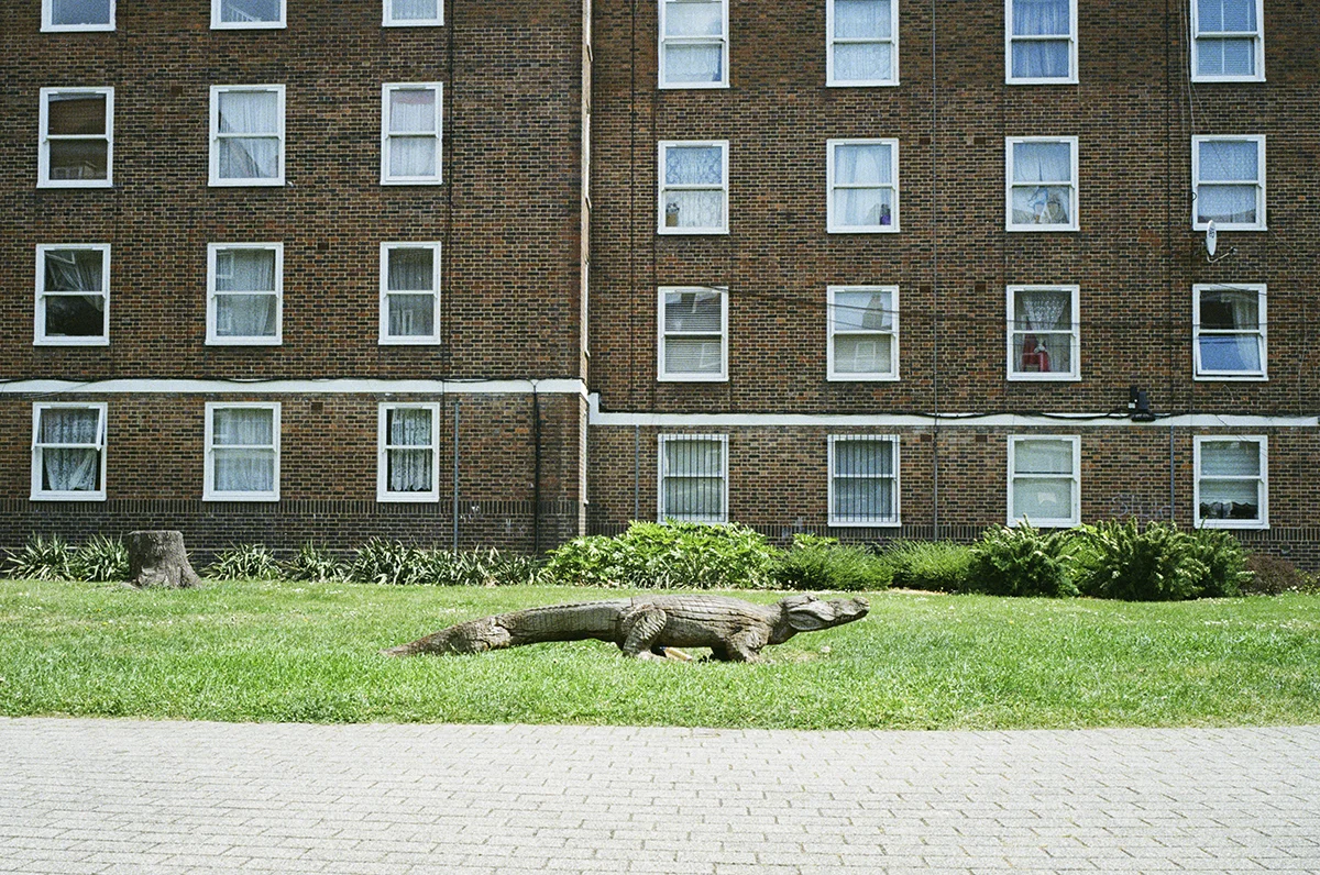 <p>© Francesco Fantini</p>
