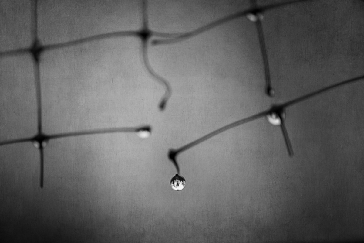 Broken<p>© Jo Fields</p>