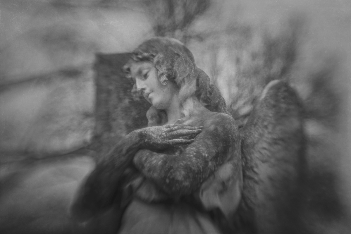 Reverie<p>© Jo Fields</p>
