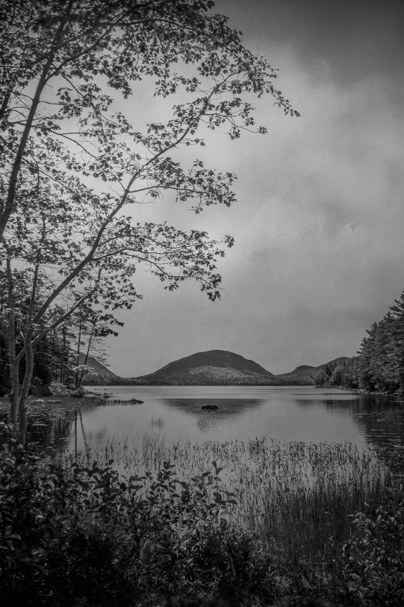 Maine Pond<p>© Jo Fields</p>