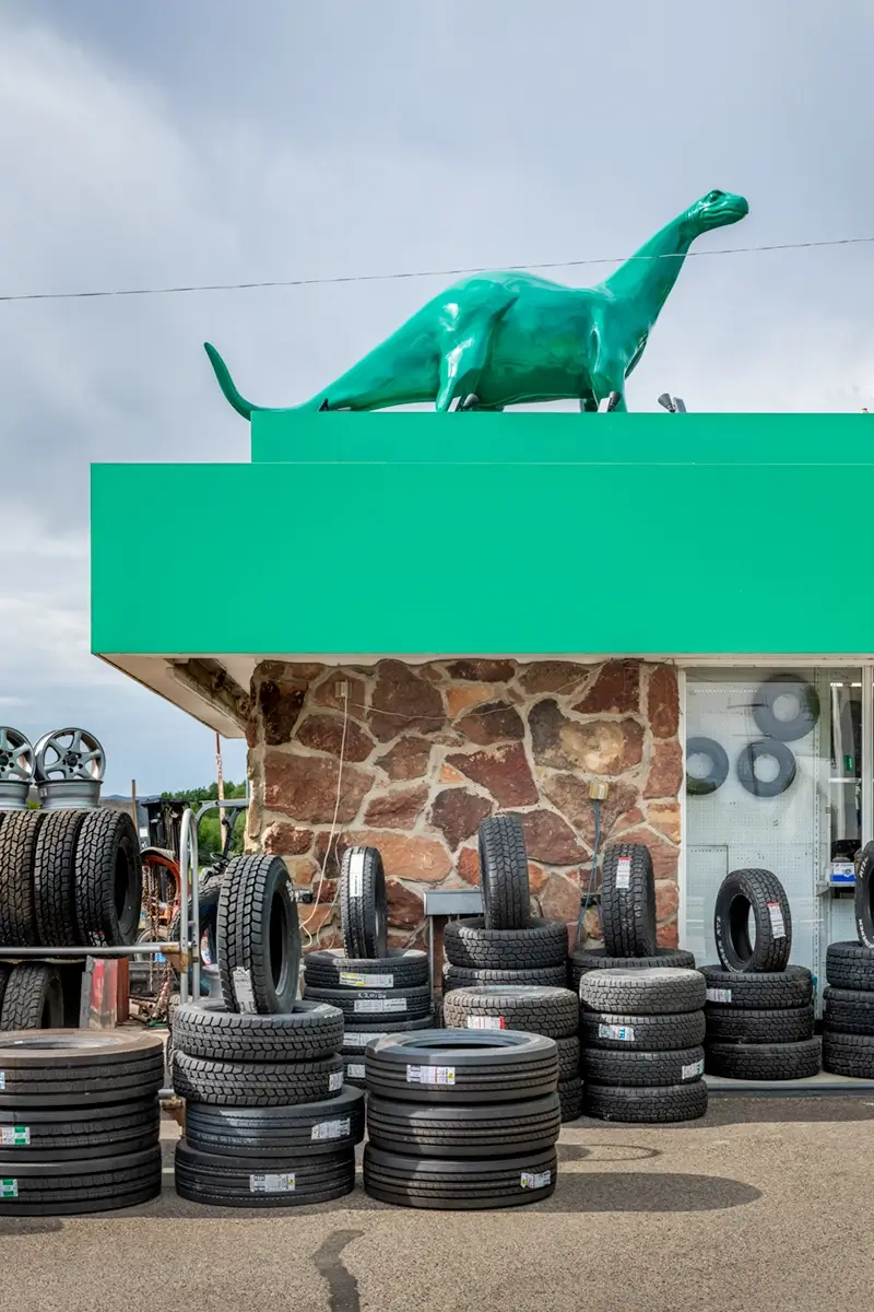 Dino and Tires 2020<p>© John Francis</p>