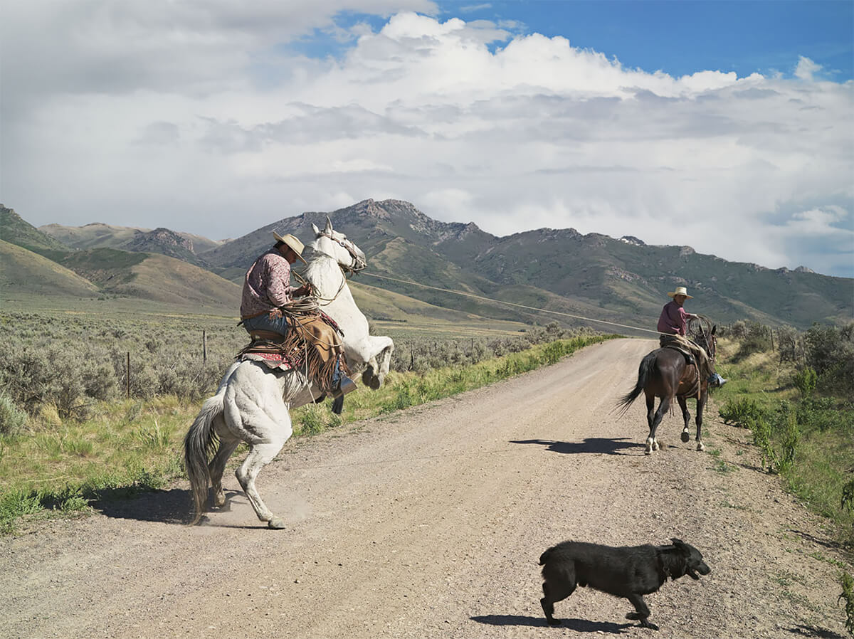 Frontcountry: Casey and Rowdy Horse Training, 71 Ranch, Deeth, Nevada 2012<p>© Lucas Foglia</p>
