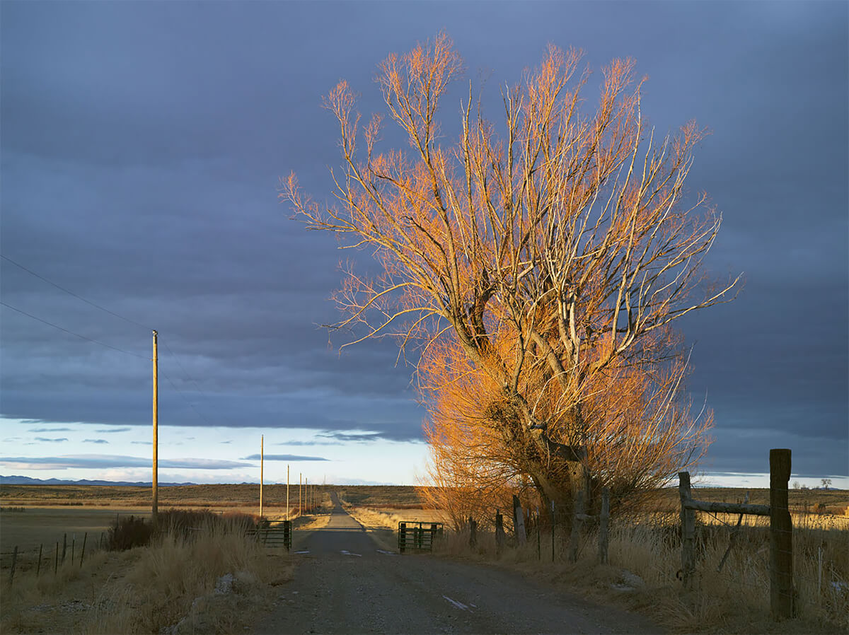 Frontcountry: Driveway, 71 Ranch, Deeth, Nevada 2012<p>© Lucas Foglia</p>