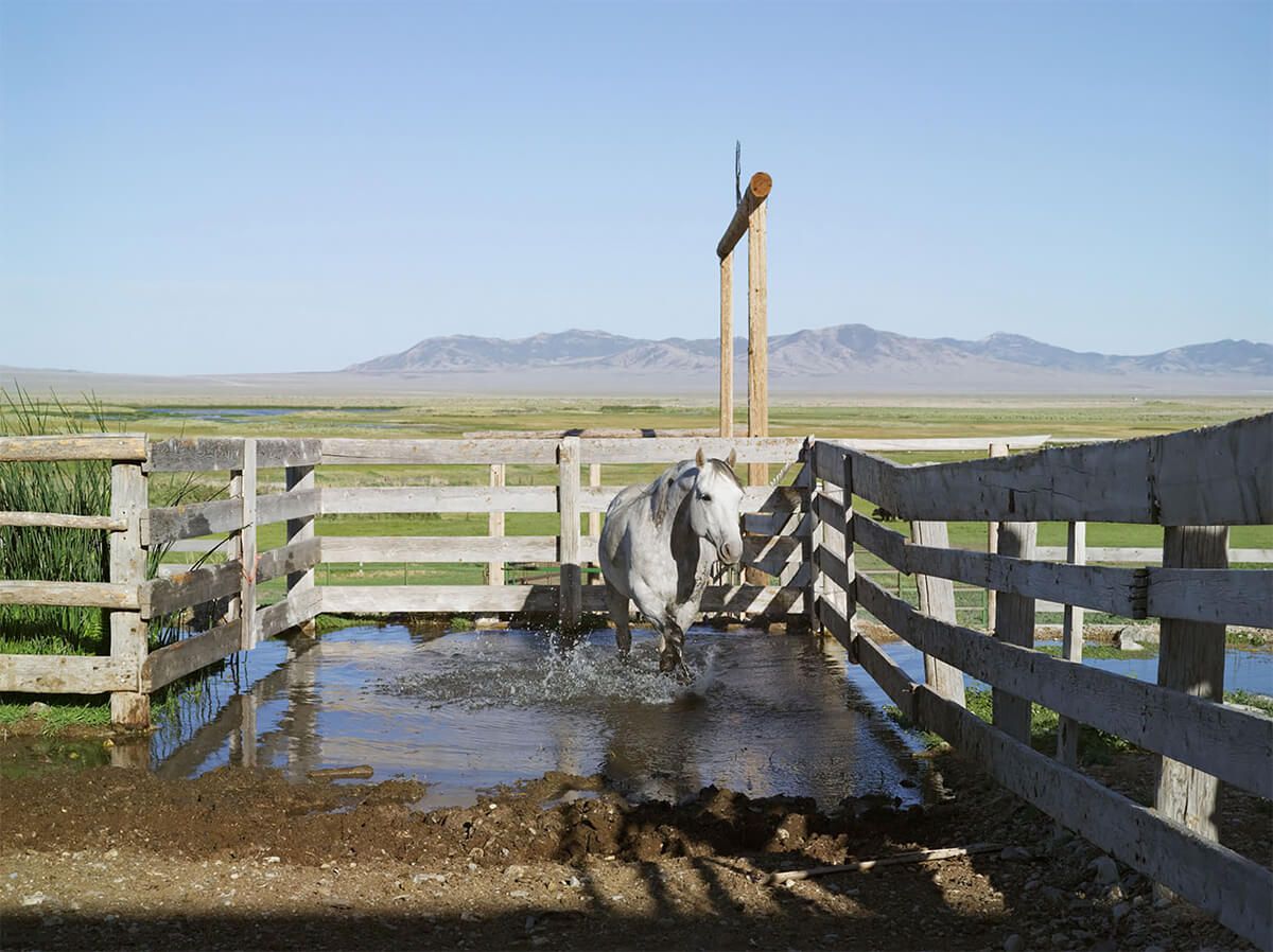 Frontcountry: Future Site of Long Canyon Gold Mine, Big Springs Ranch, Oasis, Nevada 2012<p>© Lucas Foglia</p>