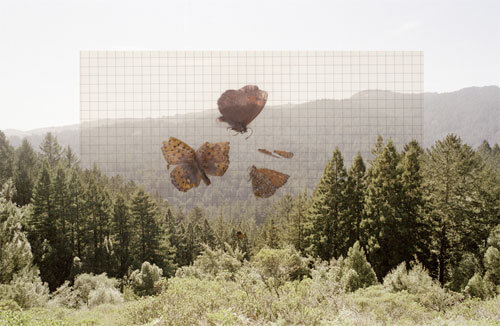 <p>Courtesy Agence VU / © Maia Flore</p>