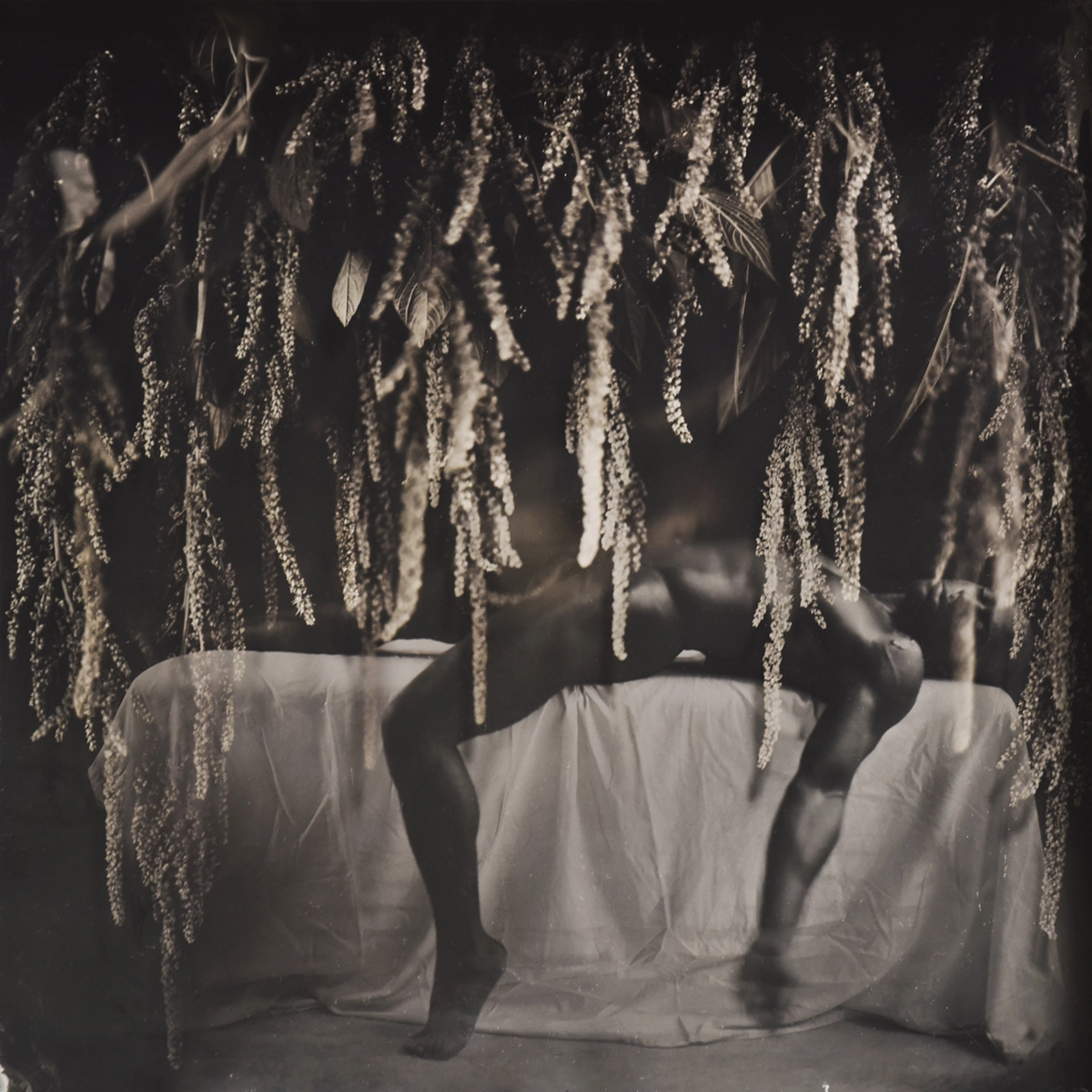 From the series Laying Flowers at Your Feet<p>© Matthew Finley</p>