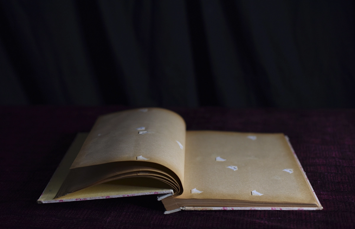 From the series In a New Light<p>© Matthew Finley</p>